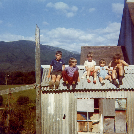 Shed Roof, Glenachulish, 1970s