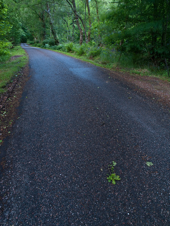 The road to Glenachulish