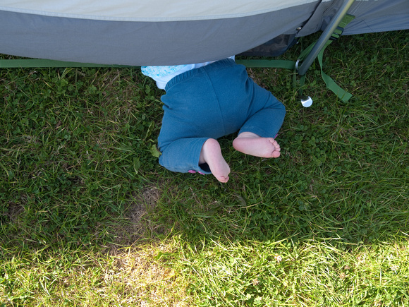 Eilis inadvertantly crawling backwards out of the tent