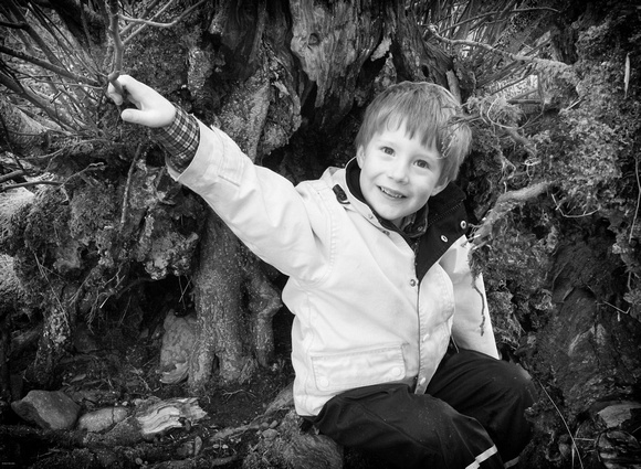 Seonaidh playing at having a party in a hollow tree