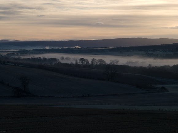 Fields and mist