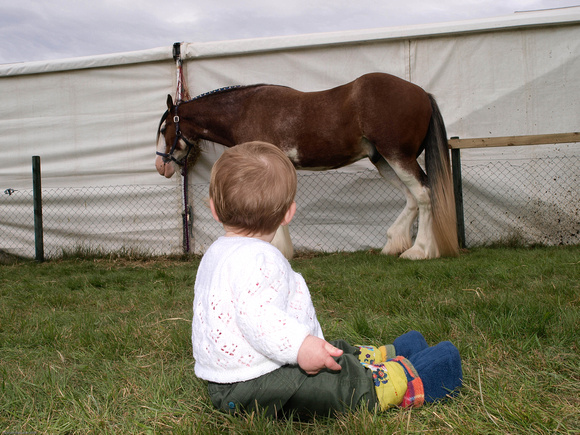 Eilis looking at a horse
