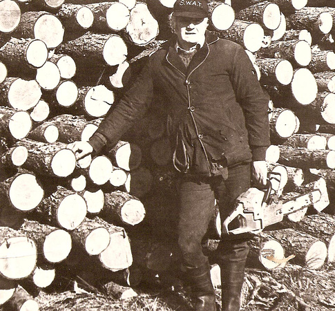 Hadyn at the logs