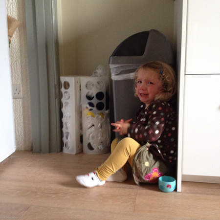 Josie having a tantrum in  the kitchen